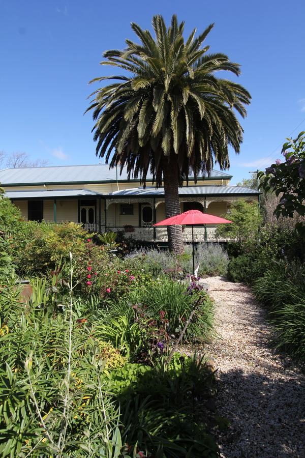 Bed and Breakfast Palm House à Maldon Extérieur photo