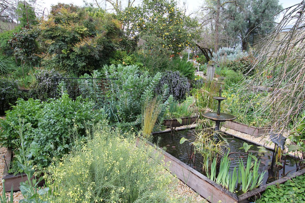 Bed and Breakfast Palm House à Maldon Extérieur photo
